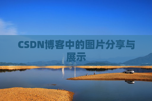 CSDN博客中的图片分享与展示